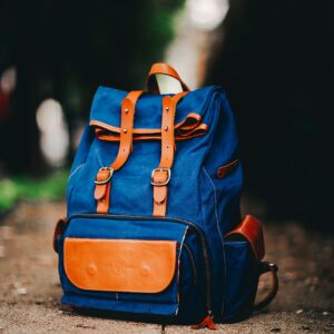 Modern Backpack